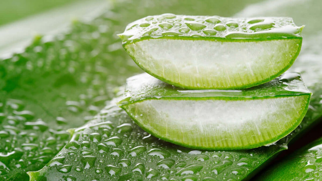 How to Use Aloe Vera for Acne